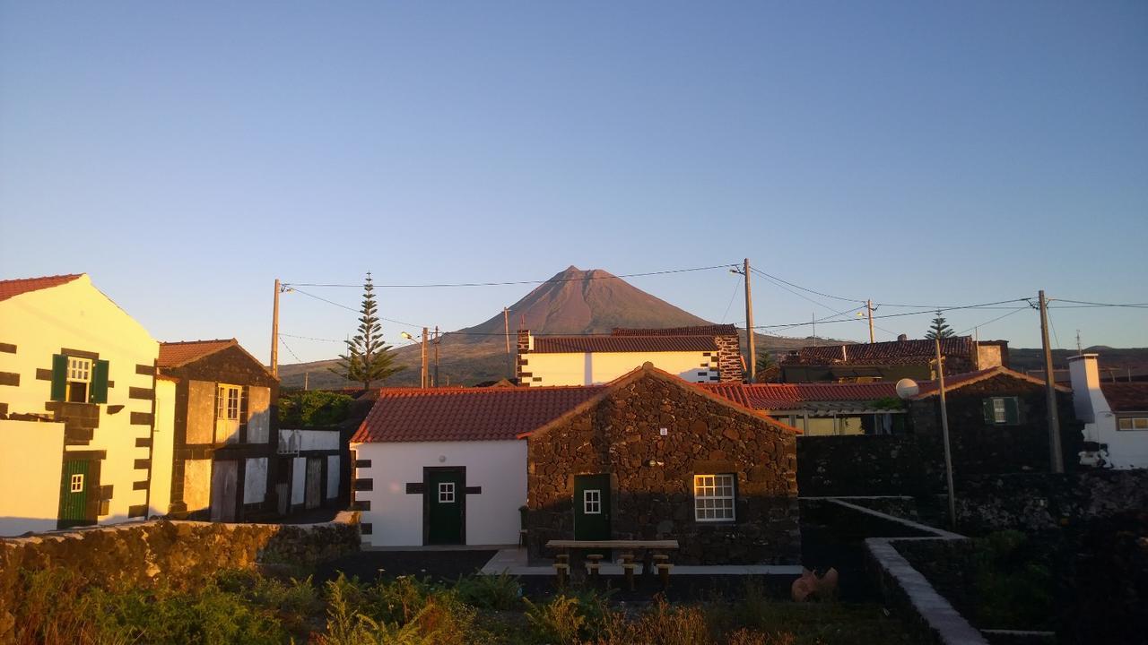 Casinha Da Avo Jeronima Rral 1519 Villa Madalena  Dış mekan fotoğraf