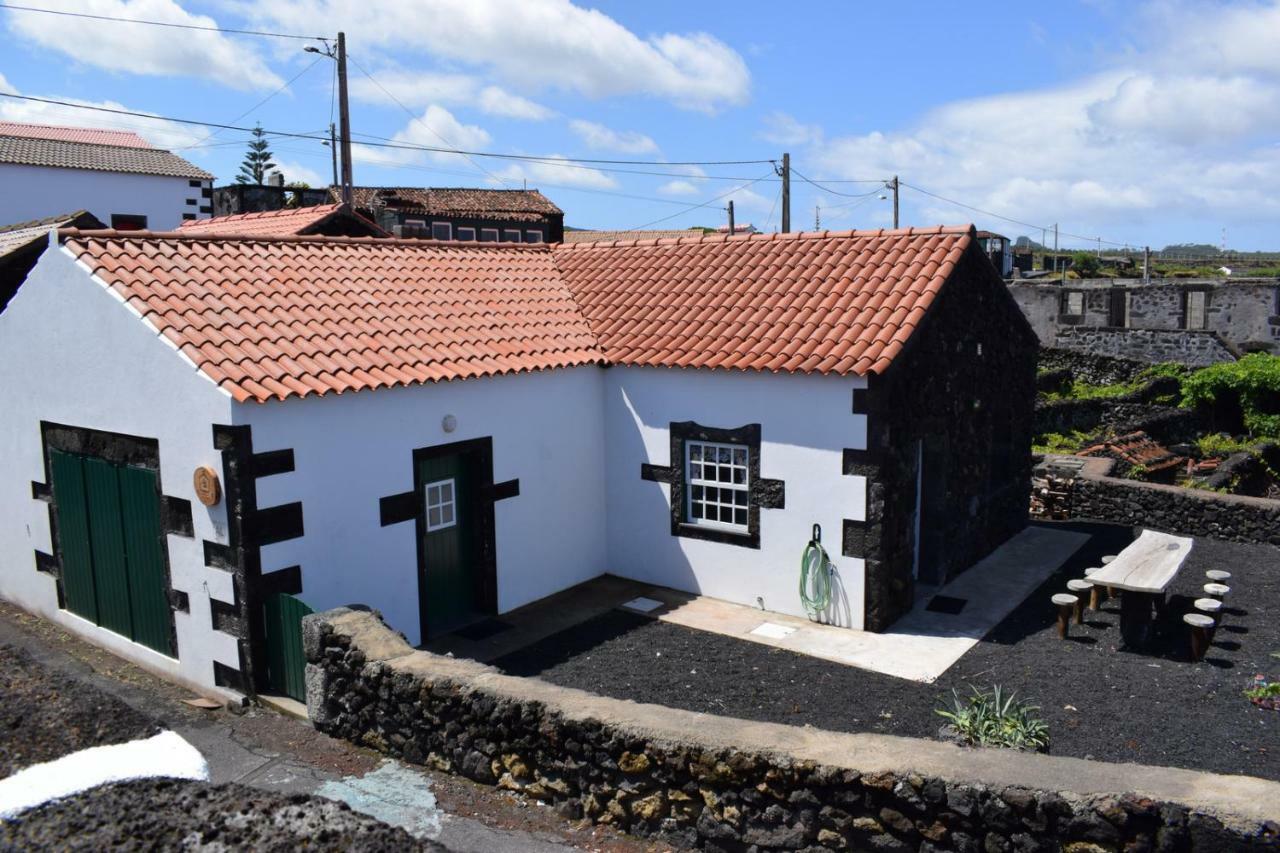 Casinha Da Avo Jeronima Rral 1519 Villa Madalena  Dış mekan fotoğraf